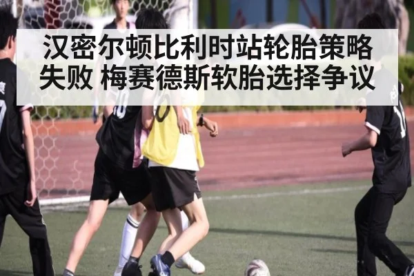 汉密尔顿比利时站轮胎策略失败 梅赛德斯软胎选择争议