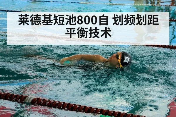 swimmer freestyle stroke