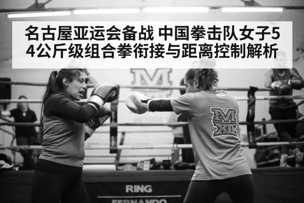 female boxer training